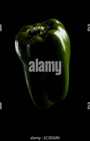 Grüne Paprika auf schwarzem Hintergrund beleuchtet Stockfoto