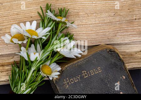 Alte Bibel, Rosmarin, wilde Blumen, einfaches Bild von einfachen Zeiten, eine gut benutzte alte bibel, die auf rauem Holz mit einem Zweig von Rosmarin und Wildblumen ruht Stockfoto