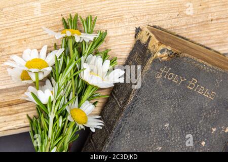 Alte Bibel, Rosmarin, wilde Blumen, einfaches Bild von einfachen Zeiten, eine gut benutzte alte bibel, die auf rauem Holz mit einem Zweig von Rosmarin und Wildblumen ruht Stockfoto