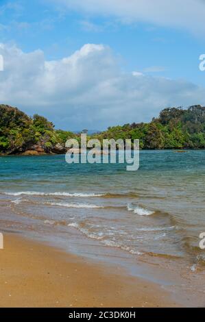 Ein Strand auf Ulva Island, eine kleine Insel und Vogelschutzgebiet in Paterson Inlet, das Teil von Stewart Island vor der Südinsel in Neuseeland ist. Stockfoto