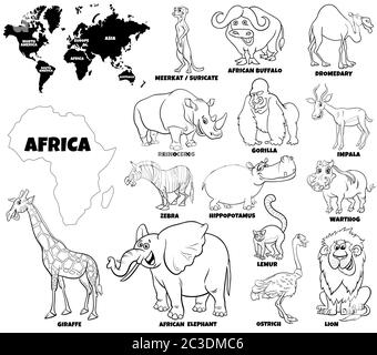 Pädagogische Illustration der afrikanischen Tiere Farbe Buchseite Stockfoto