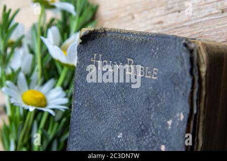 Alte Bibel, Rosmarin, wilde Blumen, einfaches Bild von einfachen Zeiten, eine gut benutzte alte bibel, die auf rauem Holz mit einem Zweig von Rosmarin und Wildblumen ruht Stockfoto