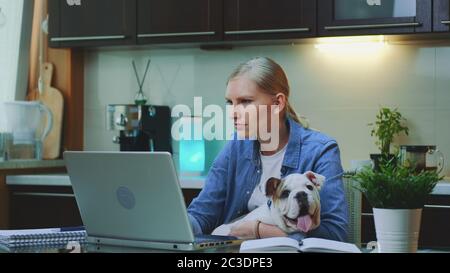 Junge Frau, die am Computer arbeitet und einen kleinen Hund an den Händen hält. Arbeiten in der Küche zu Hause. Stockfoto