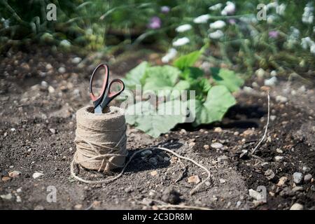 Selektive Fokussierung auf Jute-String mit Schere in unscharfen Garten Hintergrund. Stockfoto