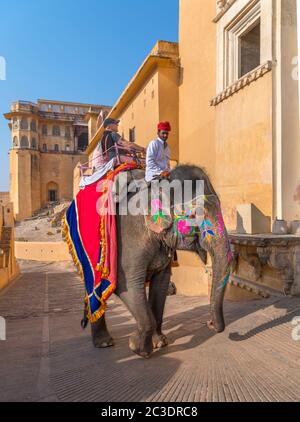 Elefantenritt auf dem Weg zum Amber Fort, Jaipur, Rajasthan, Indien Stockfoto