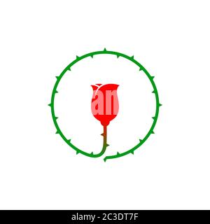Rosenblüte mit einem runden dornigen Stiel Design Vektor Illustration Stock Vektor