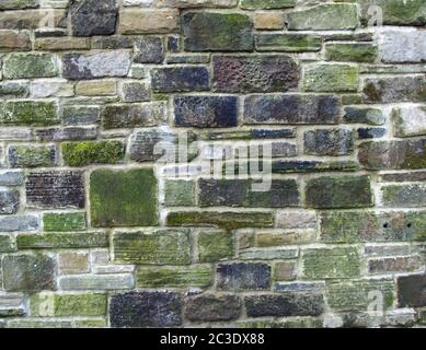 Eine alte graue Steinwand aus großen unregelmäßigen Blöcken, die mit Moosmustern bedeckt sind Stockfoto