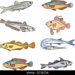 Eine Sammlung von Unterwasser Meer und Süßwasserfisch Haie und Aale Cartoon Illustration Clipart in Vektorform Logos Stock Vektor