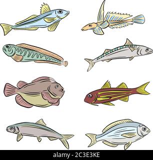 Eine Sammlung von Unterwasser Meer und Süßwasserfisch Haie und Aale Cartoon Illustration Clipart in Vektorform Logos Stock Vektor