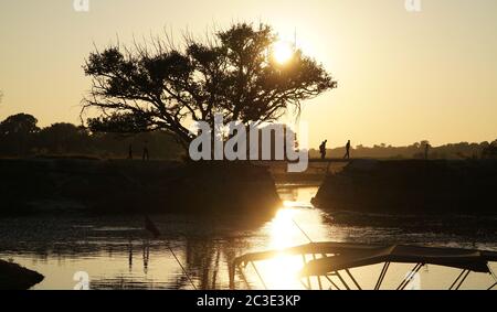 Elefanten bei einer Safari im Okavango Delta in Botswana. Stockfoto