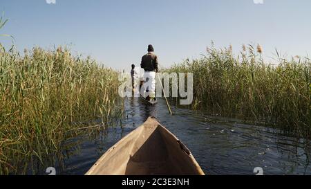 Elefanten bei einer Safari im Okavango Delta in Botswana. Stockfoto