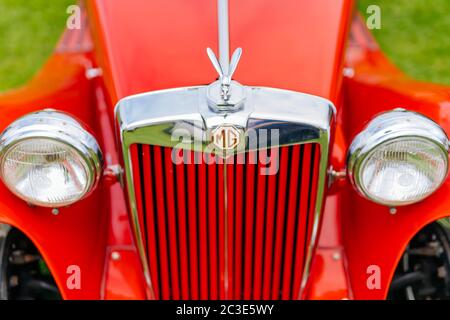 Nahaufnahme einer Figur auf dem roten MG TF Roadster aus den 1950er Jahren Stockfoto