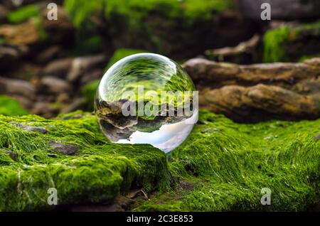 Glaskugel-Linse liegt auf Steinen mit grünem Schlamm und Reflec bedeckt Stockfoto