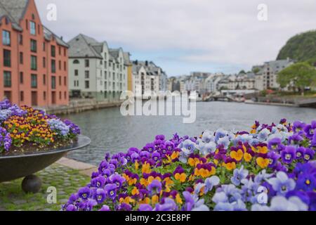 Alesund Altstadt Blick auf die Küste mit Jugendstil-Häusern und blühenden bunten Blumen Stockfoto