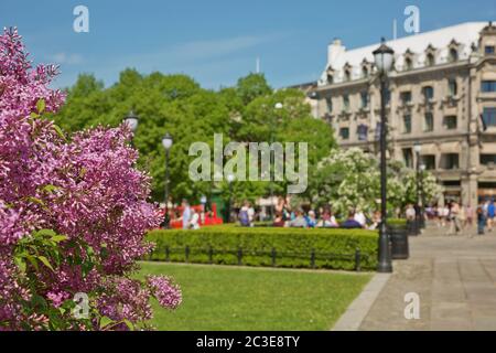 Blühende Blumen und Menschen genießen sonnigen Sommertag im Park in Oslo, Norwegen