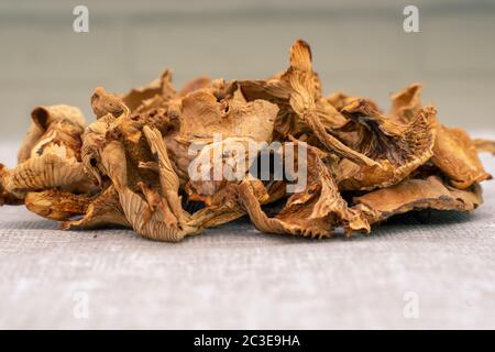Trockene Pfifferlinge Pilze Nahaufnahme. Gesunde Ernährung und Vegetarismus, pflanzliches Eiweiß Stockfoto