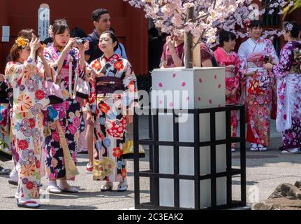 Weibliche Touristen mit gemieteten Kimono am Sensoji Temple Ground, Tokyo, Japan. Stockfoto