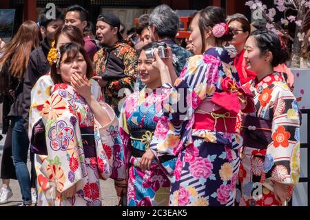 Weibliche Touristen mit gemieteten Kimono am Sensoji Temple Ground, Tokyo, Japan. Stockfoto