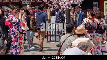 Weibliche Touristen mit gemieteten Kimono am Sensoji Temple Ground, Tokyo, Japan. Stockfoto