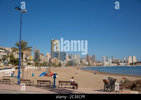 Schöner Tag Benidorm Poniente Strand Spanien mit Palmen und blauem Meer und Himmel an der Costa Blanca Stockfoto