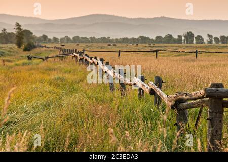 Ein geteilter Eisenbahnzaun an der T.A Molton Scheune im Mormon Row Historic District entlang der Antelope Flats im Grand Teton National Park, Wyoming. Stockfoto