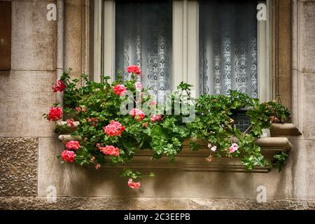 Fenster mit frischen Blumen in Töpfen in Spanien Stockfoto