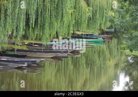 Spaziergang in der Poitevin Sumpf in vendée, Frankreich Stockfoto