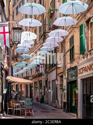 Genua / Italien - Mai 29 2018: Herrliche Regenschirme Dekoration über Via Lucolli, im historischen Zentrum der Stadt. Stockfoto