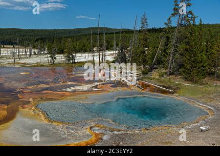 Firehole Spring, einer der buntesten Hydrothermalbecken des Yellowstone National Park und Teil der Great Fountain Group entlang des Firehole Lake Drive in Yellowstone, Wyoming. Stockfoto