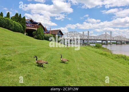 LOUISVILLE, KY - 30. MAI 2020 - Blick auf die Wahrzeichen Abraham Lincoln Bridge und John F. Kennedy Bridge über den Ohio River zwischen Louisville, Kentucky, Stockfoto