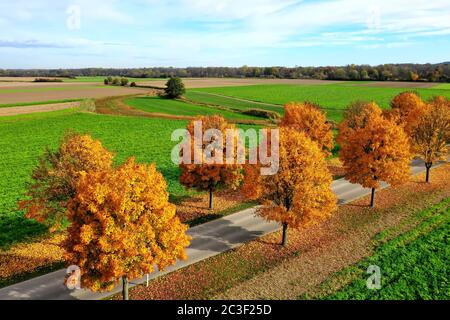 Alles im Herbst von oben Stockfoto