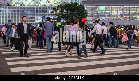 Massenmassen, die über die berühmte Shibuya Fußgängerüberfahrt, Tokio, Japan, laufen. Stockfoto