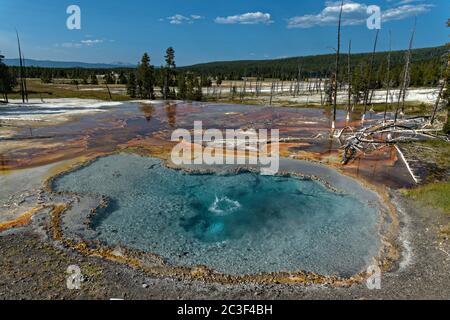 Firehole Spring, einer der buntesten Hydrothermalbecken des Yellowstone National Park und Teil der Great Fountain Group entlang des Firehole Lake Drive in Yellowstone, Wyoming. Stockfoto
