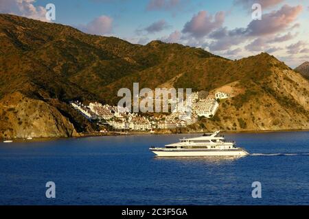 Jacht vorbei an Catalina Häusern in Early Morning Light Stockfoto