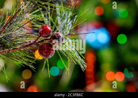 Bunte weihnachtsbaumlichter und Kiefernzweig mit roten Beeren. Stockfoto