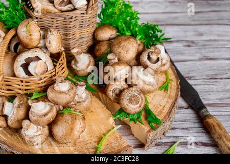 Frische Wildpilze in Weidenkorb auf Schnittbaum mit Messer. Stockfoto