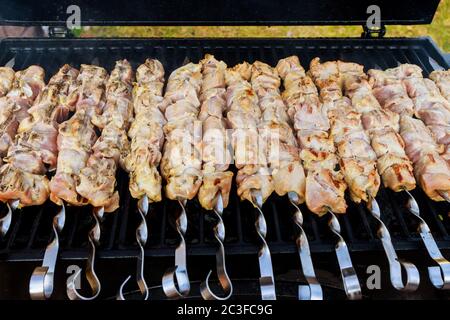 Barbecue Hähnchenfleisch auf Holzkohlegrill auf Spieße. Stockfoto