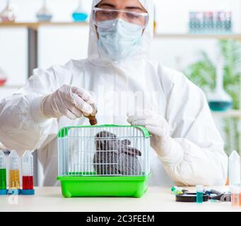 Wissenschaftler, die in Tierversuchen Kaninchen tun