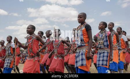 MASAI MARA, KENIA- 26, AUGUST 2016: Gruppe von maasai-Jungen, die bei koiyaki tanzen und den Schulabschluss in kenia leiten Stockfoto