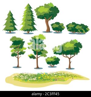 Set von stilisierten Vektorpflanzen. Sträucher, Bäume und Felder mit Gras und blühenden Blumen Stock Vektor