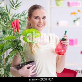 Junge Frau, Bewässerung von Pflanzen in Ihrem Garten Stockfoto