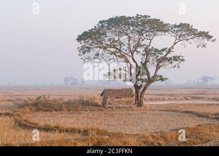 Schlechte Hütte im Morgenlicht. Myanmar Birma Stockfoto