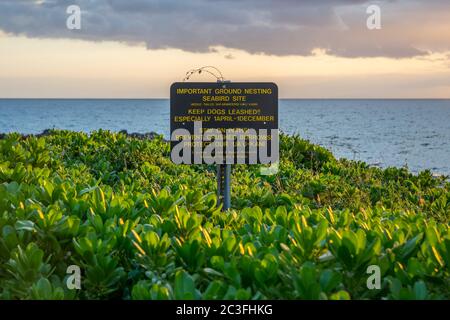 Ein Warnschild im Haleakala National Park, Hawaii Stockfoto