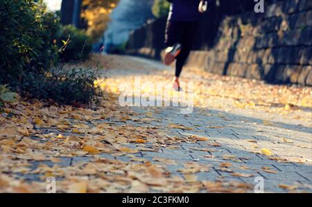 Selektive Konzentration auf leuchtend gelbe Ginkgo Blatt Wurf auf einem Bürgersteig mit einem Jogger die Beine im Hintergrund sichtbar Stockfoto