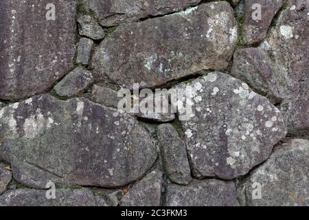 Alte unebene Steinmauer mit Flechten und Moos gesichtet Stockfoto