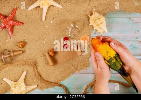 Exotische Reise Hintergrund mit Vogel Sonne conure in Frauen Hände. Sommerzeit. Stockfoto