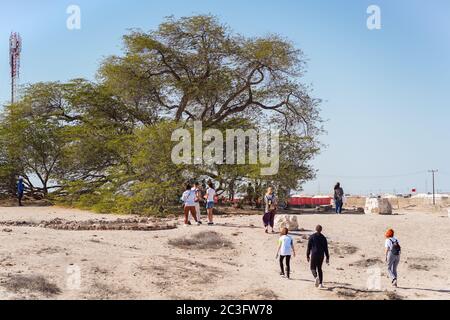 Manama / Bahrain - 10. Januar 2020: Touristengruppe besucht den Baum des Lebens, einen alten Baum in der Mitte einer Sandwüste in Bahrain Stockfoto