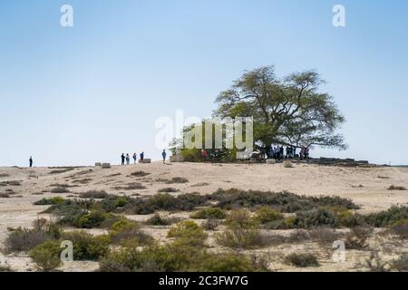 Manama / Bahrain - 10. Januar 2020: Touristengruppe besucht den Baum des Lebens, einen alten Baum in der Mitte einer Sandwüste in Bahrain Stockfoto