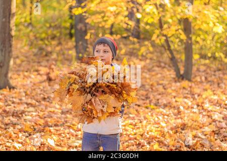 Teenager Junge steht im Herbst goldenen Wald und hält in seinen Händen eine große Armvoll von gelben Leine Stockfoto