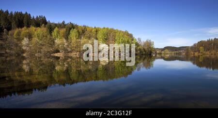 Lister-Staumauer im Frühjahr, Attendorn, Sauerland, Nordrhein-Westfalen, Deutschland, Europa Stockfoto